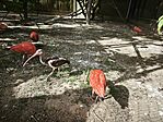 IMG_20260425_154911
