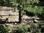 IMG_20260425_160649