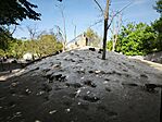 IMG_20260425_162055