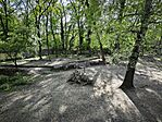 IMG_20260425_164518