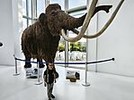 IMG_20260425_165809_1