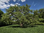 IMG_20260422_111924