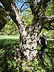 IMG_20260422_112115