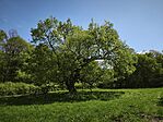 IMG_20260422_112259