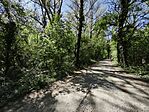 IMG_20260418_130958