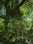 IMG_20260418_131824