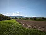IMG_20260418_141423