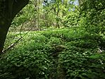 IMG_20260418_152928