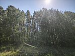 IMG_20260418_133909