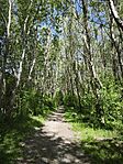 IMG_20260418_131531