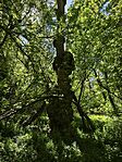 IMG_20260418_131820