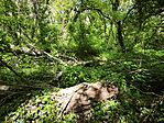 IMG_20260418_132006