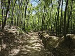 IMG_20260418_110613