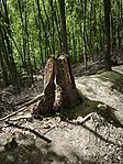 IMG_20260418_110623