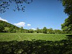 IMG_20260418_111435