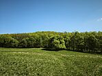IMG_20260418_112228