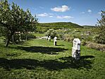 IMG_20260418_102940