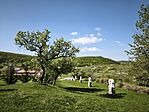 IMG_20260418_103146