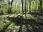 IMG_20260418_095305