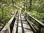 IMG_20260418_100050