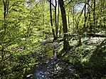 IMG_20260418_100052