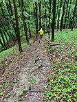 IMG_5377(1)
