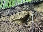 IMG_5379(1)
