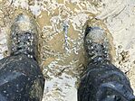 IMG_5384(1)