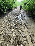 IMG_5385(1)
