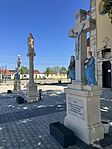 IMG_4884(1)
