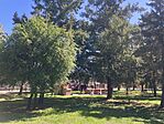IMG_4887(1)