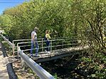 IMG_4890(1)