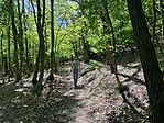 IMG_4893(1)