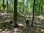 IMG_4897(1)
