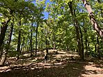 IMG_4899(1)