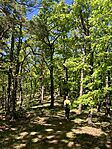 IMG_4900(1)