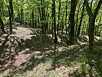 IMG_4902(1)
