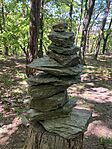IMG_4903(1)