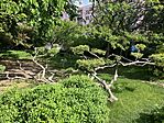 IMG_5262(1)