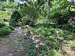 IMG_5263(1)