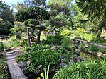 IMG_5265(1)