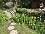 IMG_5267(1)