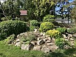 IMG_5270(1)