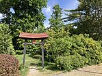 IMG_5261(1)