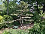 IMG_5264(1)