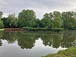 IMG_5278(1)