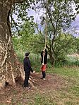IMG_5280(1)