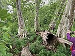 IMG_5286(1)
