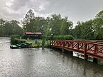 IMG_5290(1)