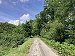 IMG_5309(1)